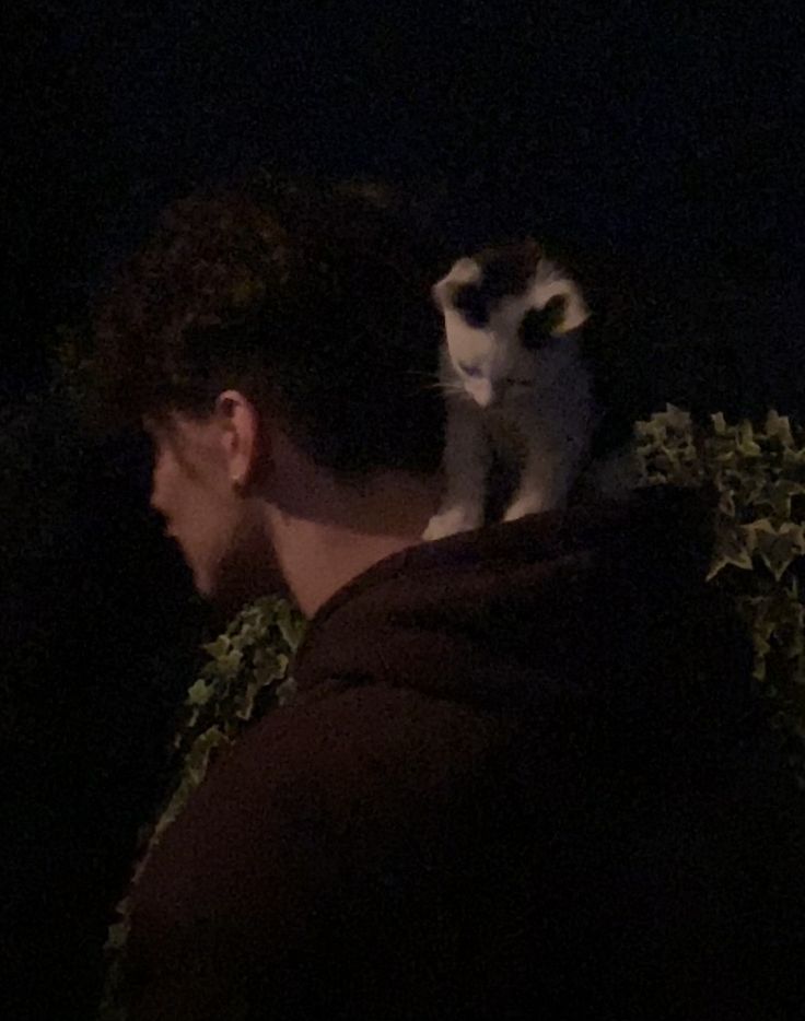 ͏͏ ͏ ͏ ͏ ͏ ͏ ͏ ͏͏ ͏𝓓𝑦𝑙𝑎𝑛 (@vladvampp) on Twitter photo 