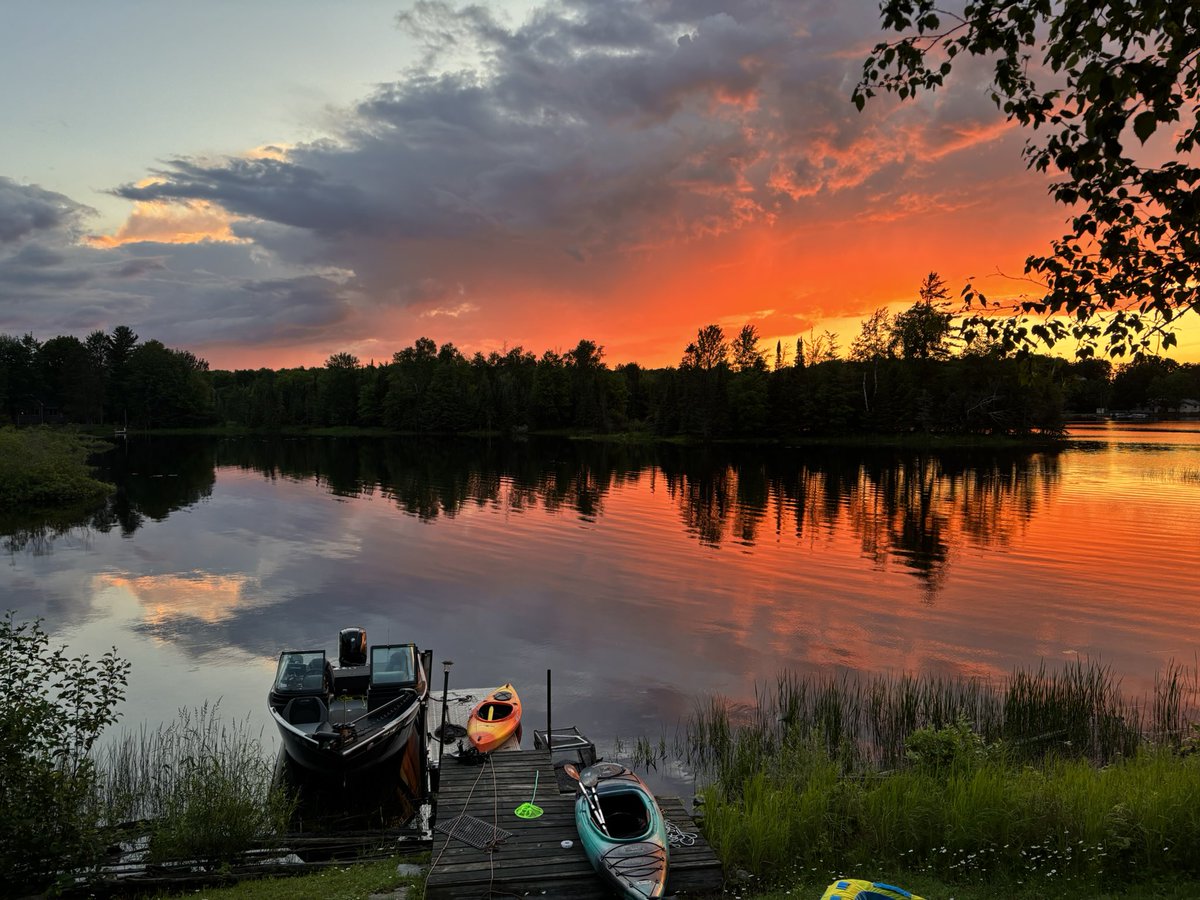 Taken with iPhone 15. No filters Mercer WI #LOONLIFE #lakelife #MERCER #NaturePhotography
