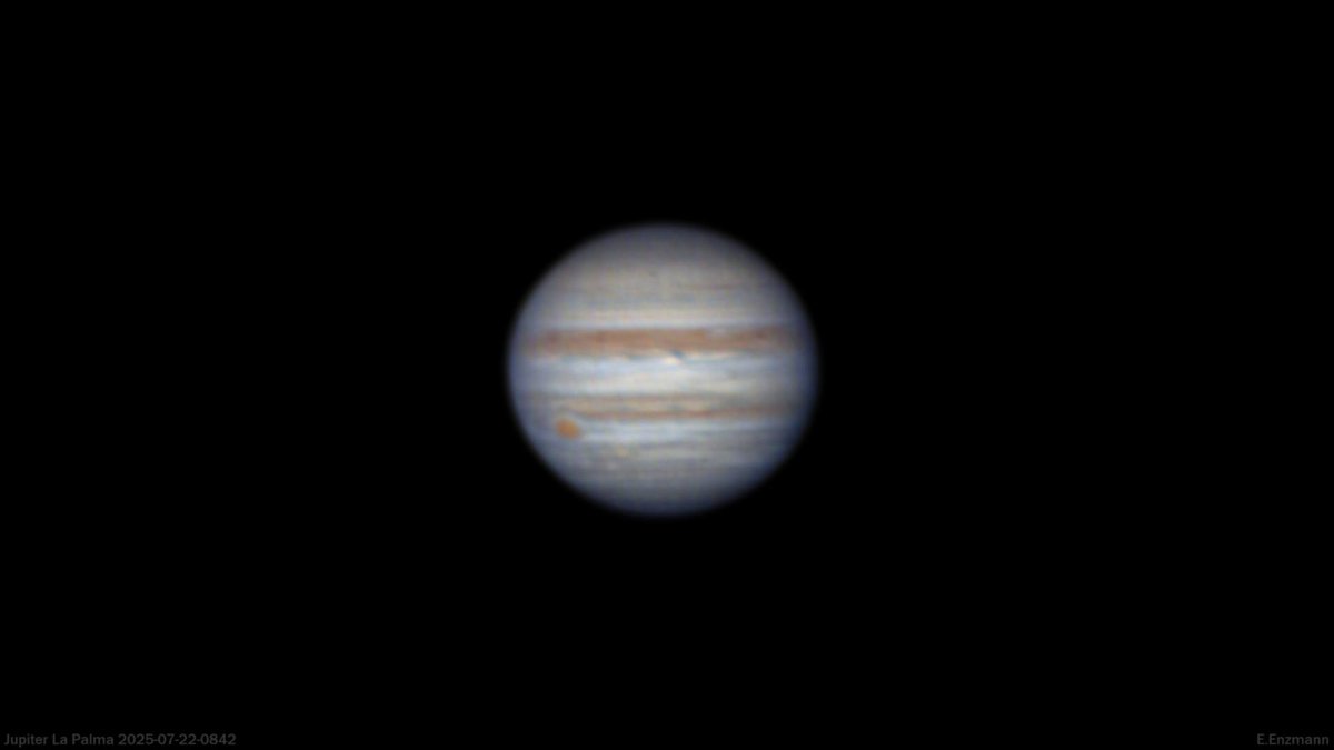 peachastro's tweet image. Jupiter on July 22nd captured by my fellow planetary aficionado Rico Enzmann. The planet is extremely low and not far from the sun at present so obtaining good images is very difficult.
This early view shows no major changes occurred during solar conjunction and the GRS remains…
