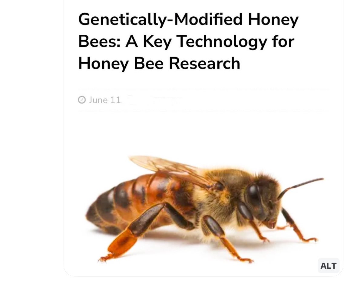 SunshineJarboly's tweet image. nothing bad has ever happened by modifying the genes of bees.