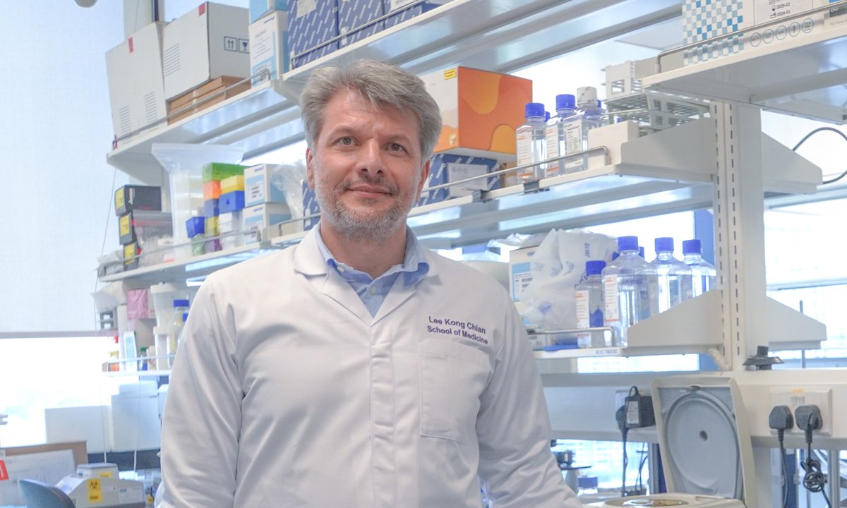 NTUsg's tweet image. Tagging along: Researchers from @UniofOxford and #NTUsg have uncovered the mechanism by which our cells identify and repair a highly toxic form of #DNA damage that causes #cancer, neurodegeneration, and premature #ageing.
These DNA lesions can result from chemotherapy, as well…