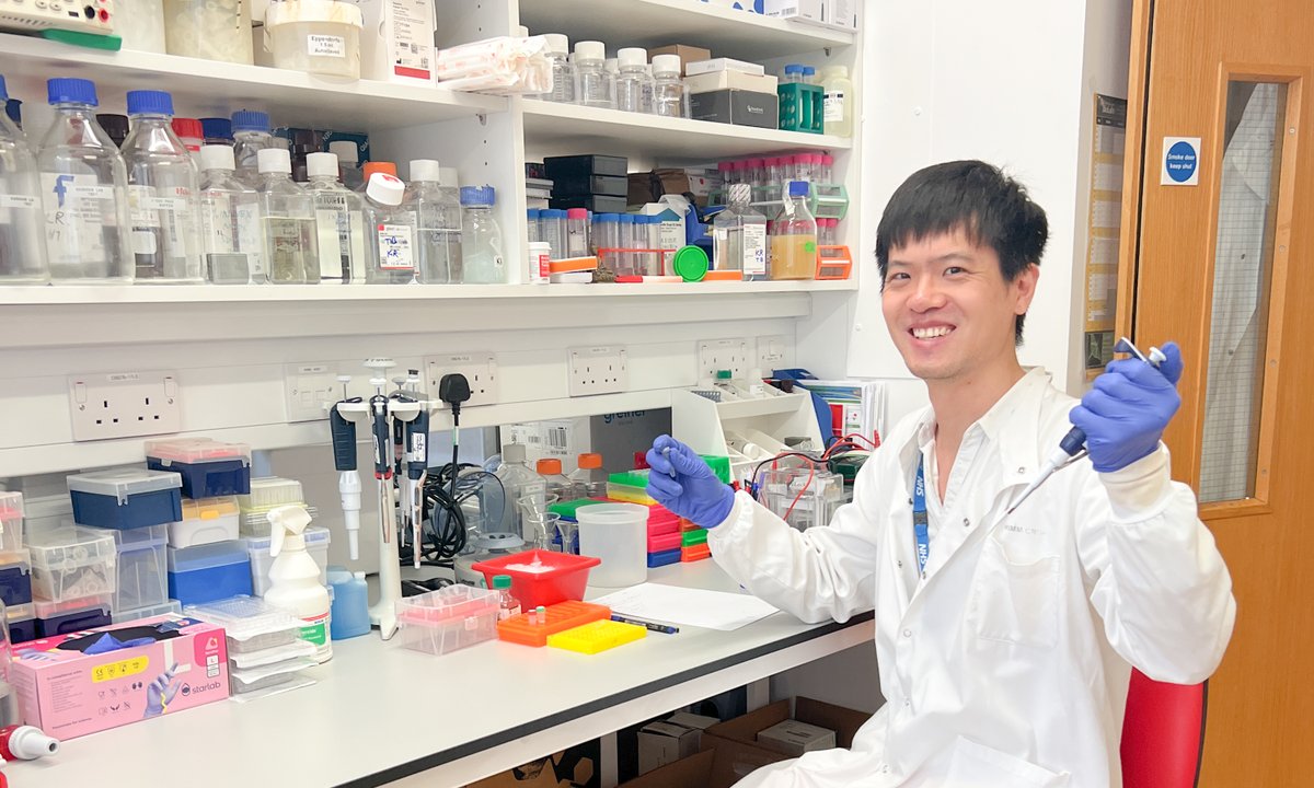 NTUsg's tweet image. Tagging along: Researchers from @UniofOxford and #NTUsg have uncovered the mechanism by which our cells identify and repair a highly toxic form of #DNA damage that causes #cancer, neurodegeneration, and premature #ageing.
These DNA lesions can result from chemotherapy, as well…