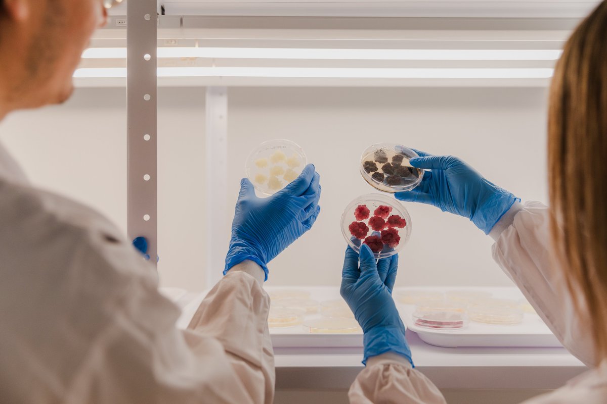 EWatsonWrites's tweet image. Could plant cell culture pave the way for the next generation of antimicrobials? Novella teams up with Metaphor Foods. #naturalpreservatives #cleanlabel #foodtech #pplantcellculture Via @AgFunder News: agfundernews.com/could-plant-ce…