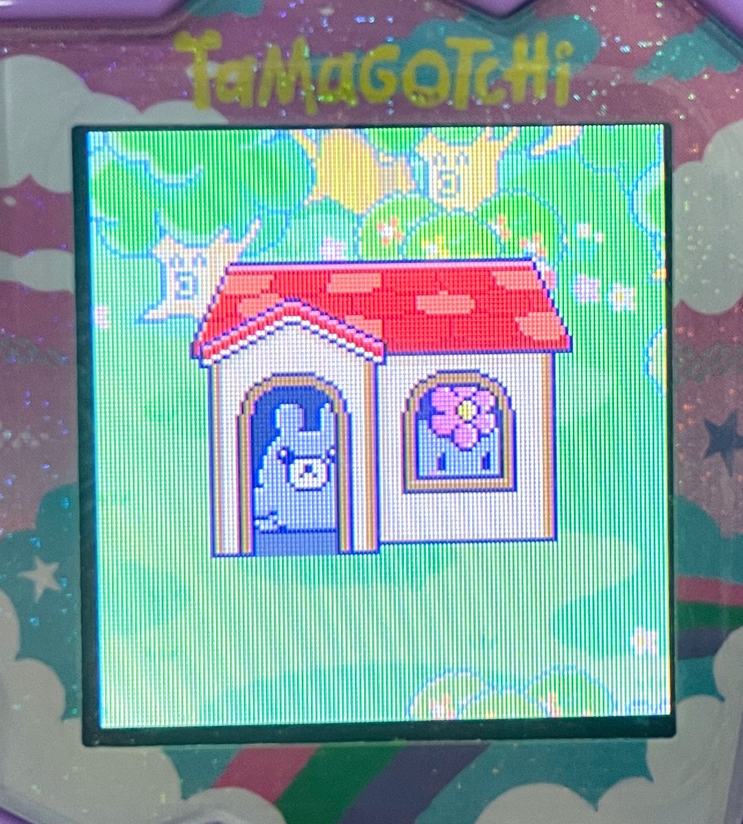 nonbiri_mimi's tweet image. 賑やかになってきた✨
