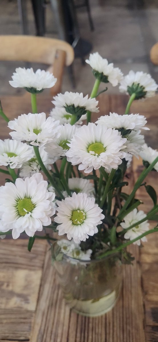 AudreySemprun's tweet image. Something in her spirit says
A promise for some better days
As something blooms
Inside her soul
Buds and blooms
Of thoughts untold
And daisies yellow ~
Marigolds
And hope springs from
Little sprigs
Telling her of something big
Just on the other side
#vss365