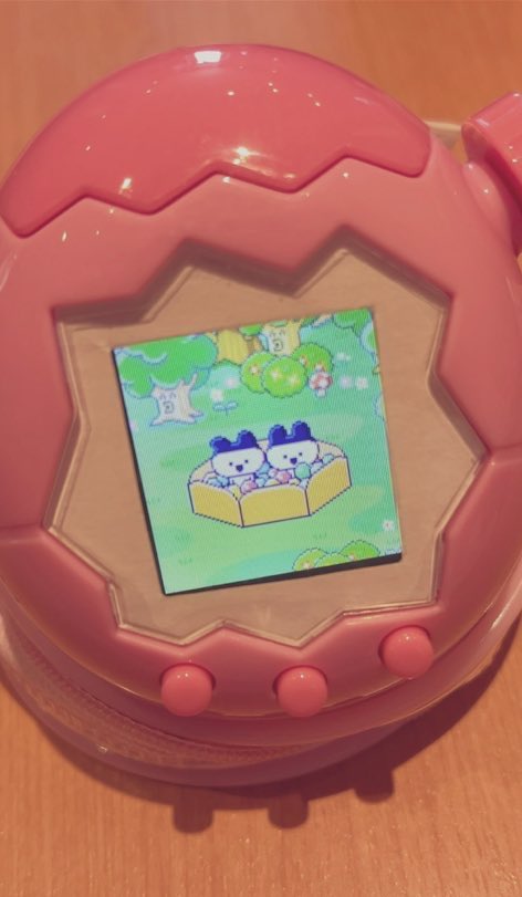 piopio_PIKA's tweet image. まめっち新種双子すぎて尊い…👬
わかりずらいけど右の子はまっしろで左の子はピンクなんです🥺
#たまごっちパラダイス