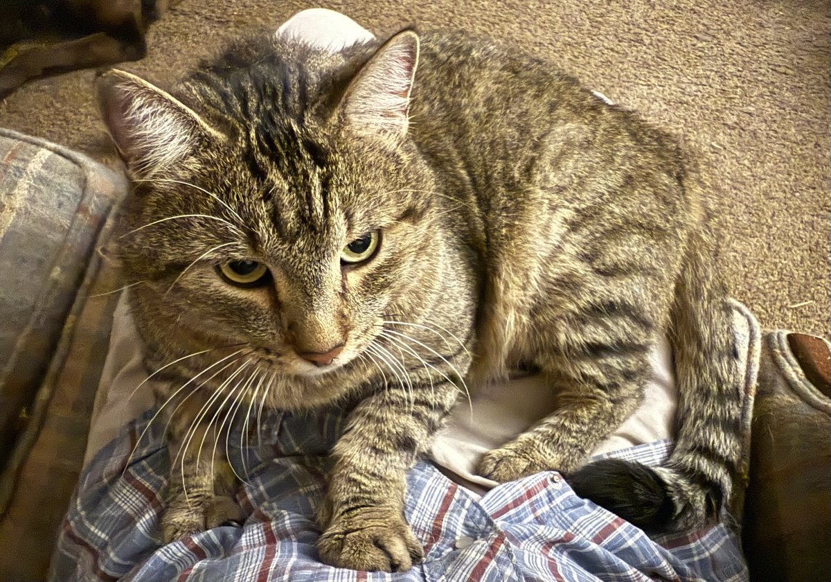 Charley getting some lap time