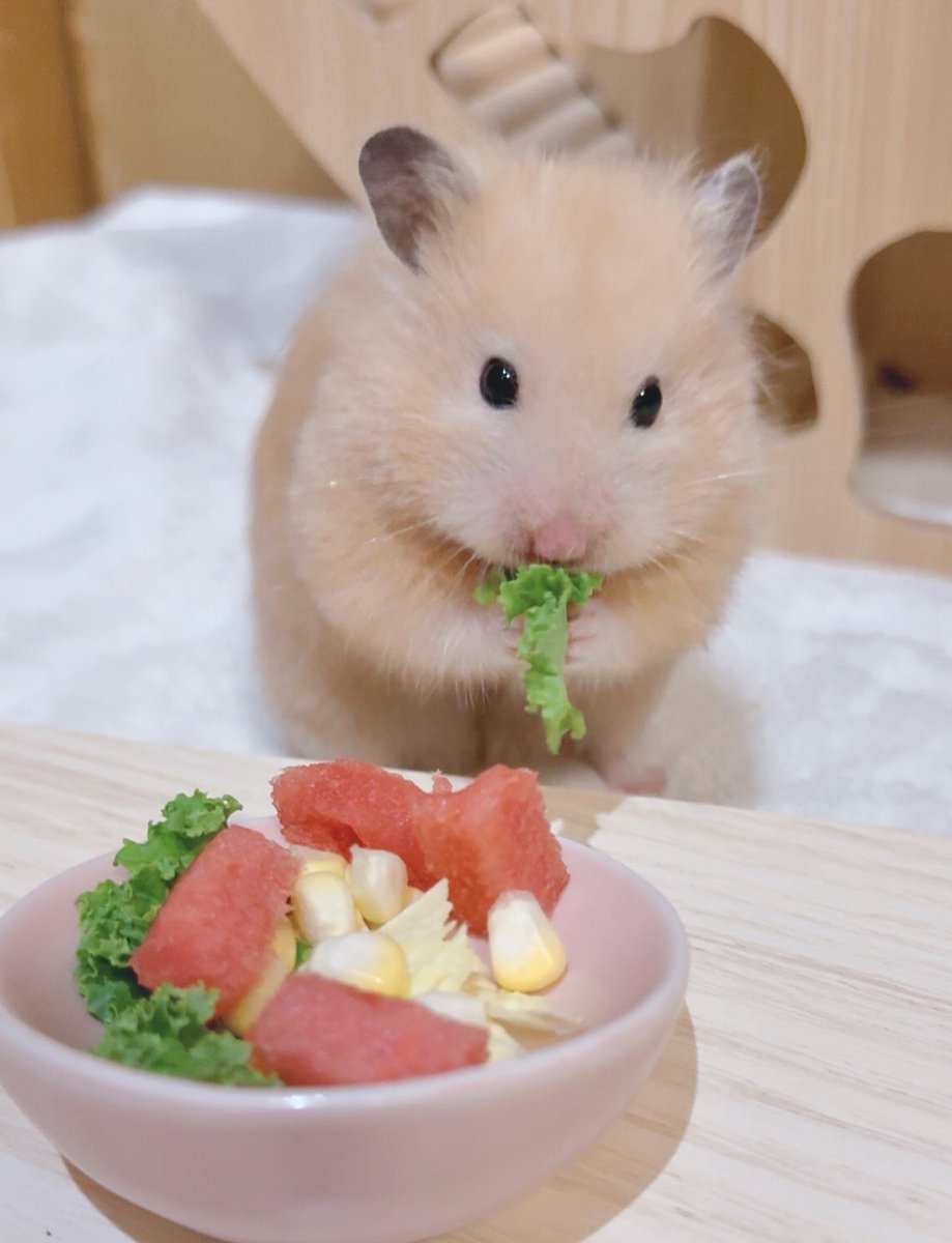o3o2_sss's tweet image. 