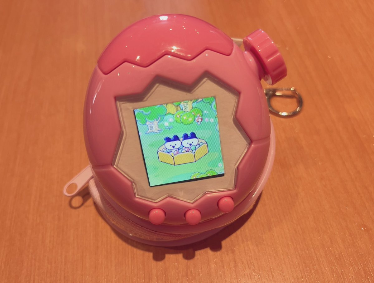piopio_PIKA's tweet image. まめっち新種双子すぎて尊い…👬
わかりずらいけど右の子はまっしろで左の子はピンクなんです🥺
#たまごっちパラダイス