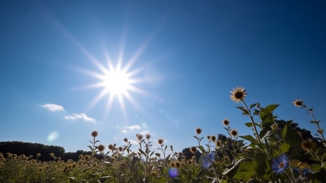 اللهم صبح خير، ويوم خير .
وفال خير  وبركة على الجميع.