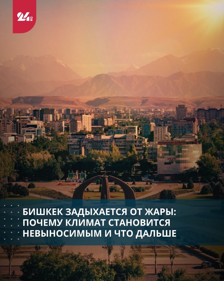 Qloop 🌐 tweet media