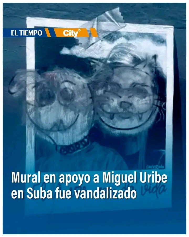 LinaLen66067444's tweet image. No los veo brincando cuando han tachado los murales que dicen "las cuchas tienen razón"