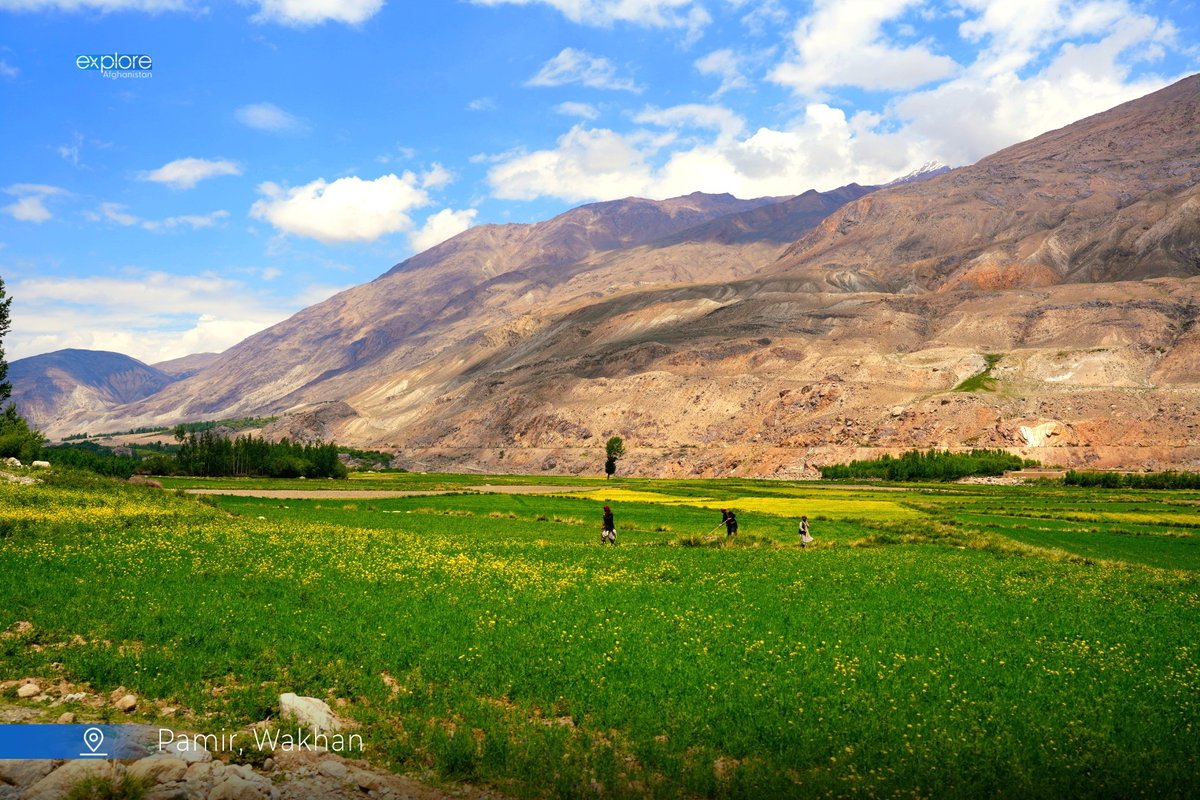 explore_af's tweet photo. Golden fields beneath the mighty Pamir peaks—where beauty grows wild in Wakhan.
#ExploreAfghanistan #PamirWonders https://t.co/YZ2GJDnAHt
