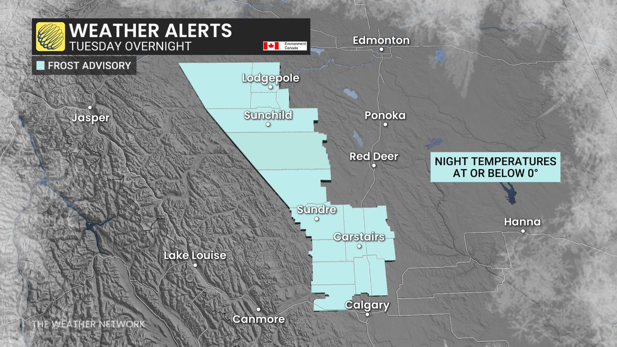 HowesNathan's tweet image. A rare, late-July frost is possible for parts of Alberta into Wednesday morning as temperatures dip close to, at or below the freezing mark. Make sure to cover your vulnerable plants. Frost advisories in place. #ABwx theweathernetwork.com/en/news/weathe…