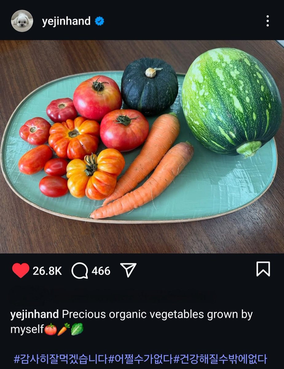 BinJinHand_22's tweet photo. Oh nice one #Yejinhand! It's seems that she learn it from #RiJeongHyeok a.k.a. her husband #HyunBin and from #CLOY planting the tomatoes.🤔🤭

#SonYeJin #Yejin #Yejinfoot_official #RiJungHyuk #SeRi #YoonSeRi #Husbin #BinJin

[07.23.2025] https://t.co/7a8bQ1ABxR