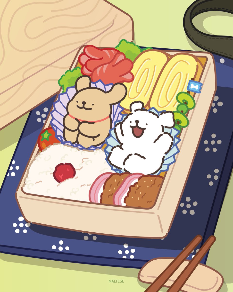maltese_jp's tweet image. いっしょにきたよ！