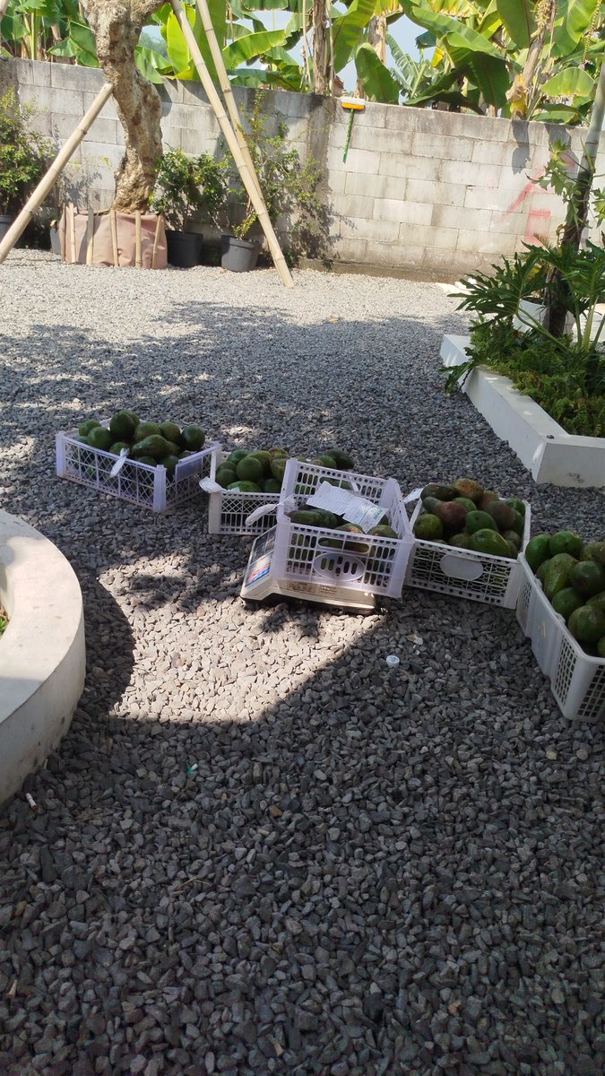 Pai (@paijo005) on Twitter photo 