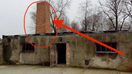 Noah’s Ark 🚢 tweet media