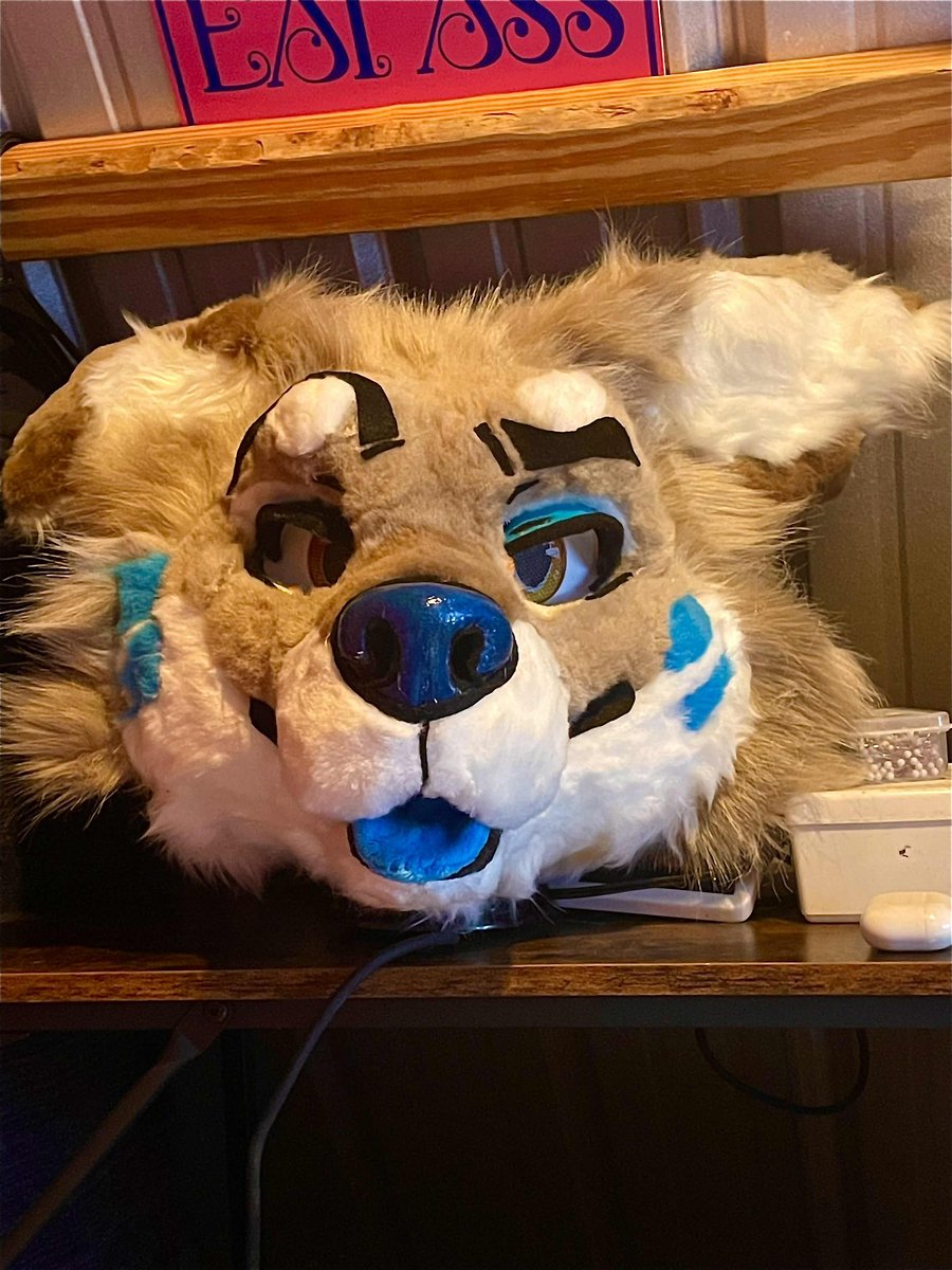 ThatDumbYote's tweet image. Unfinished premade fursuit head for sale, needs neck and inner lining. 400 OBO, dm. #fursuit