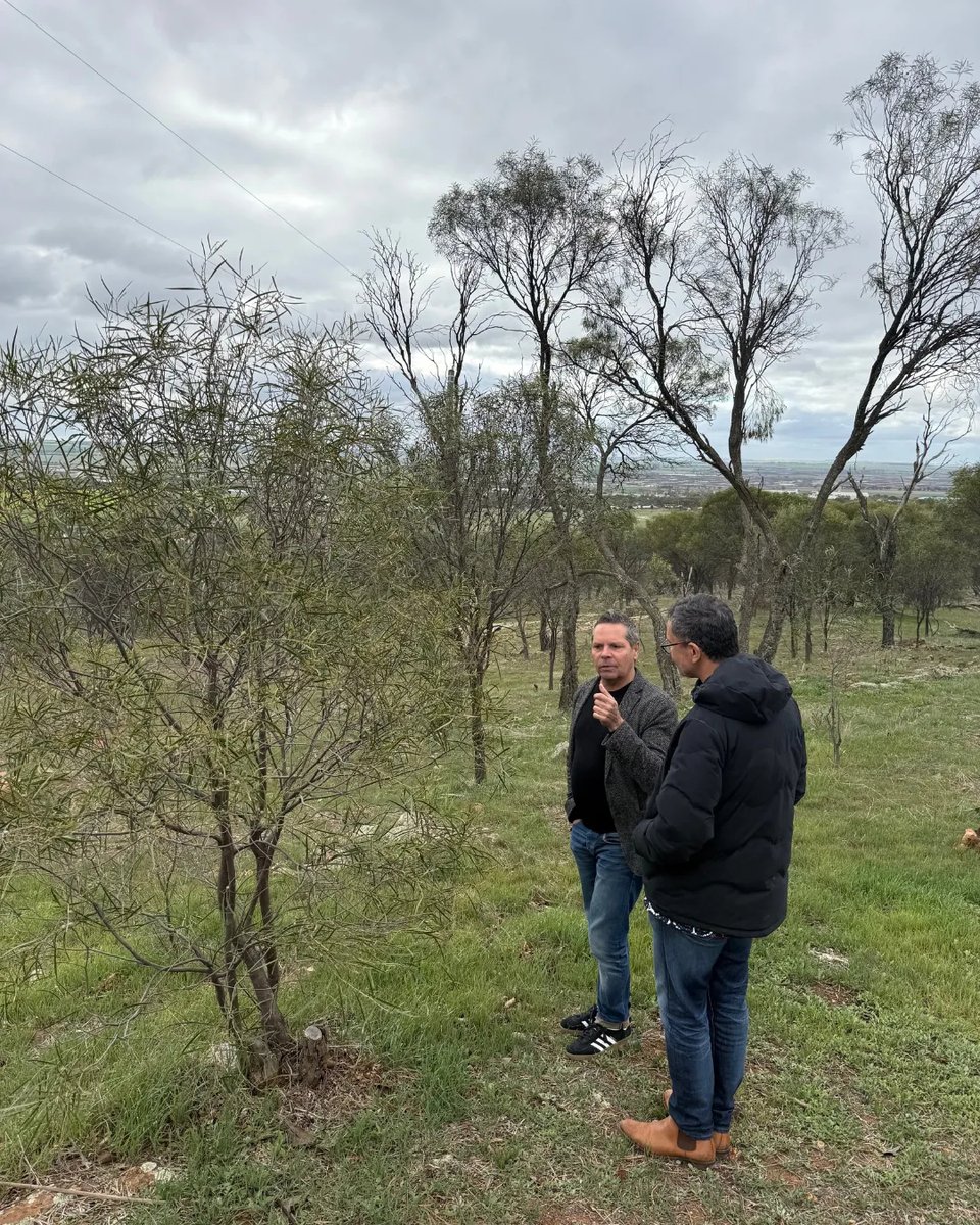 MonashInfotech's tweet image. Today at 8PM (AEST) watch the livestream of the #ReturntoCountry Oration by our Associate Dean (Indigenous) @noongar66: eventbrite.com.au/e/2025-return-…
The initiative reconnects Indigenous staff and students with community, culture and Country — inspiring the next gen through STEM.