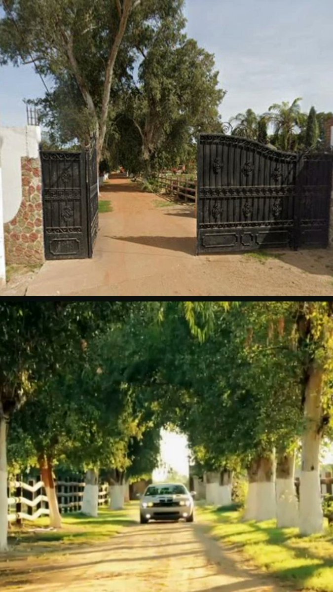 clnactivado_1's tweet image. Rancho propiedad de Fausto Isidro Meza Flores Alias "El Chapo Isidro" ubicada en El Gambino, Sinaloa a las afueras de Guasave. Este rancho fue utilizado por Remmy Valenzuela en el vídeo oficial de la canción "Te Olvidaré" de su autoría. Se dice que Isidro lo visita frecuentemente