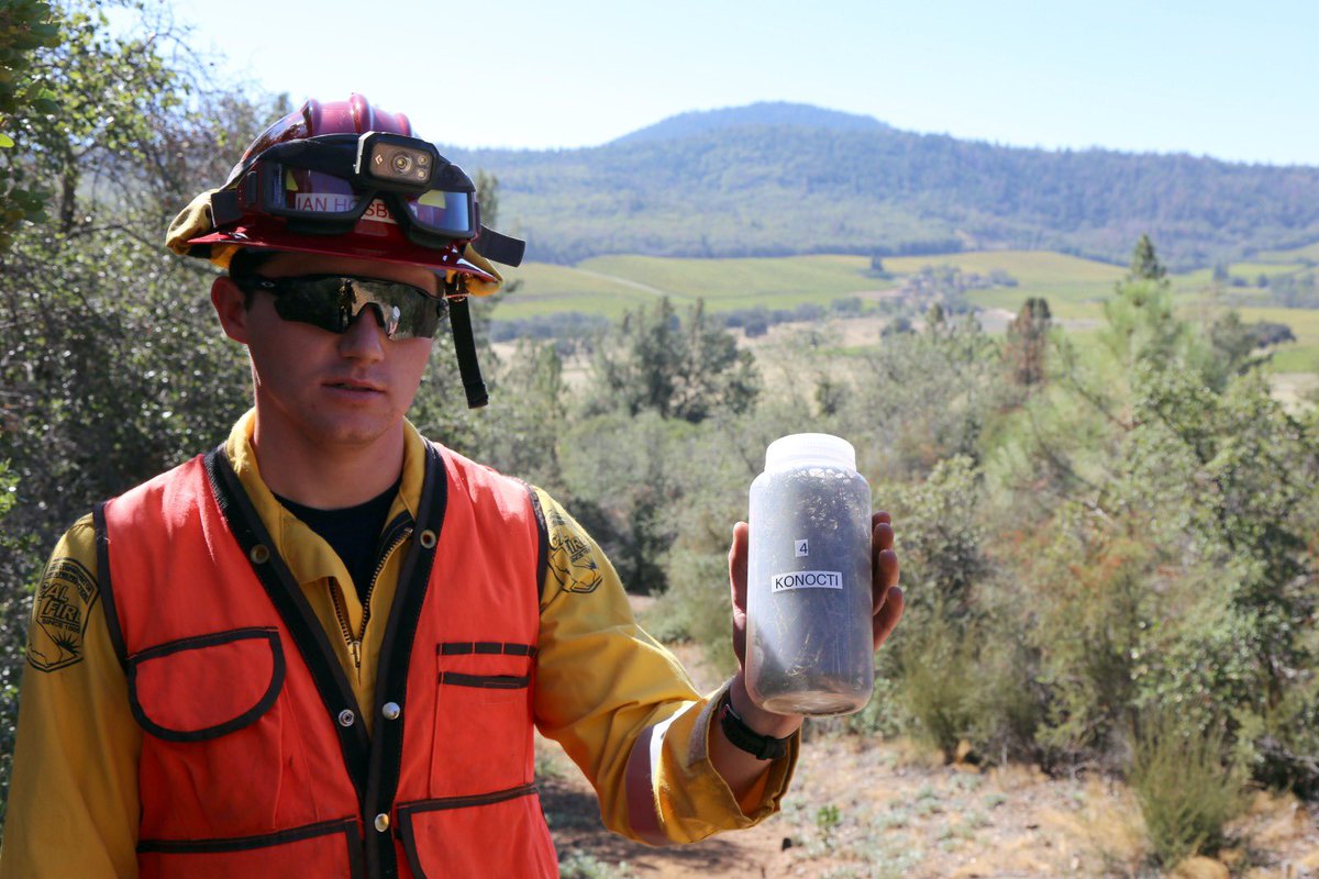 CALFIRELNU's tweet image. Each month we sample live fuel moisture content in vegetation at four locations across our Unit. Samples from this month were down 13.5 percent from June, giving us a Unit-wide live fuel moisture average of 71.42 percent. That level is below the July 2024 unit-wide recorded…
