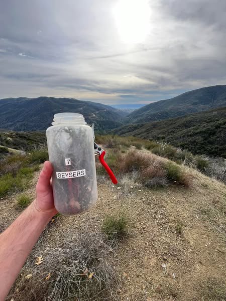 CALFIRELNU's tweet image. Each month we sample live fuel moisture content in vegetation at four locations across our Unit. Samples from this month were down 13.5 percent from June, giving us a Unit-wide live fuel moisture average of 71.42 percent. That level is below the July 2024 unit-wide recorded…