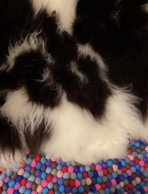 justlillylew's tweet photo. Beautiful, bespoke RUGS  x3 for sale - one off pieces: https://t.co/IvN7a5WI8y WE WOULD LIKE TO GET £160 -SHEEPSKIN and £150 for the 2 ball rugs. Lots more details in #Facebook advert. https://t.co/9trn9miZIi