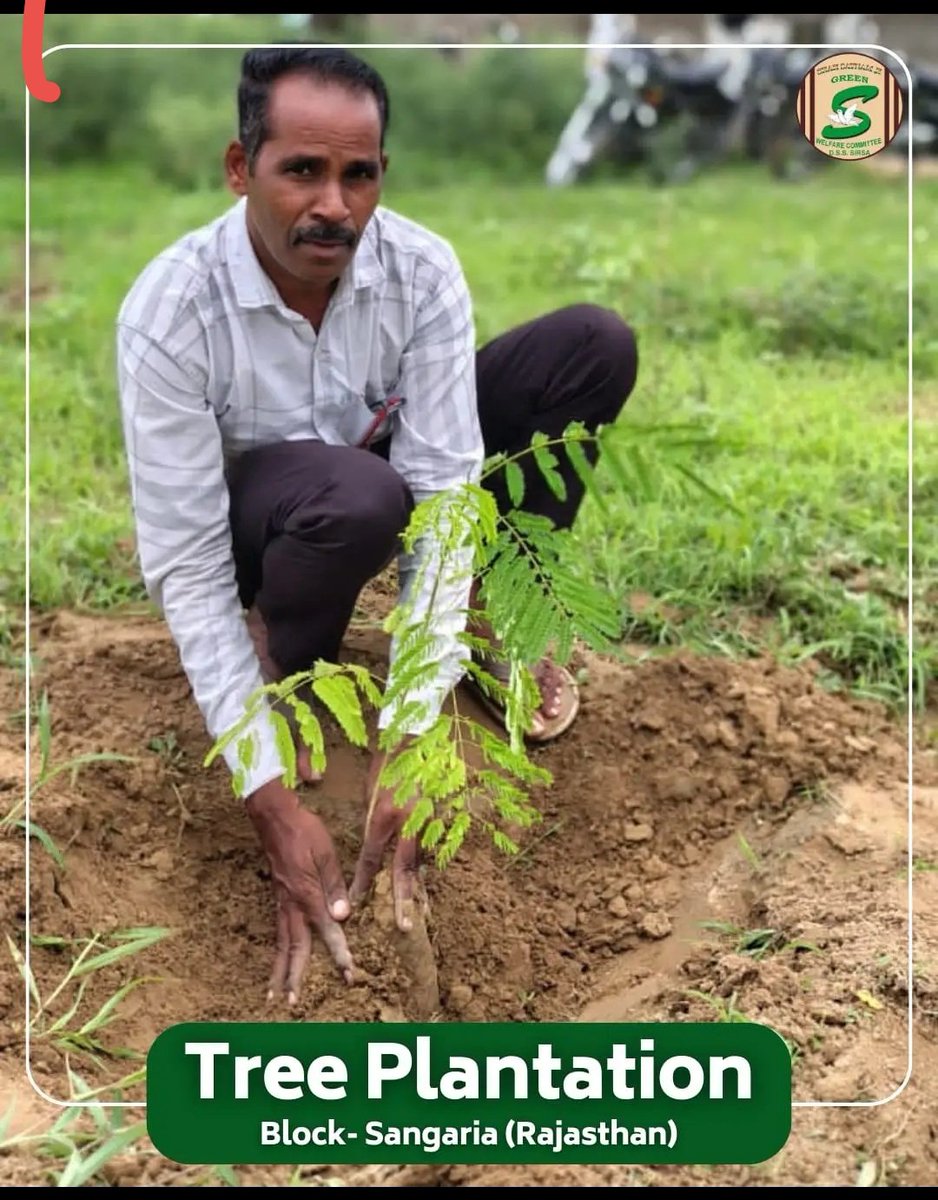 GuriGur61580257's tweet image. Trees are critically important for every aspect of our lives, providing essential resources and maintaining ecological balance. They offer clean air and water,food,shelter and contribute to a healthy environment. #ImportanceOfTrees