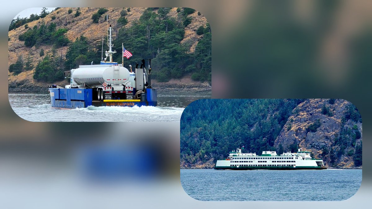 MailboatN's tweet image. Busy afternoon, I just got home. It was a nice day for mailboat'n.
The Island Transporter and the WSF Chelan. Low tide, a GBH (great blue heron) looking for a snack, and my private rainbow.