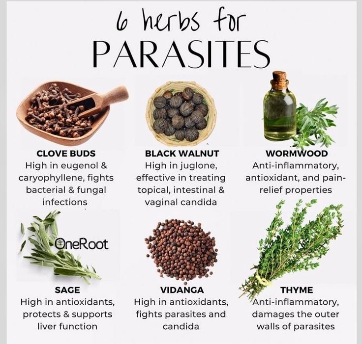 🚨 6 herbs for PARASITES

➡️ CLOVE BUDS
High in eugenol &amp; caryophyllene, fights bacterial &amp; fungal infections.

➡️ BLACK WALNUT
High in juglone, effective in treating topical, intestinal &amp; vaginal candida

➡️ WORMWOOD
Anti-inflammatory, antioxidant, and pain-relief properties

➡️