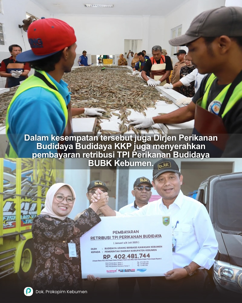 bubk_kebumen's tweet photo. Panen ini  menjadi bukti keberhasilan #Kebumen dalam mengembangkan model budidaya  perikanan yang ramah lingkungan, berkelanjutan, dan berorientasi ekspor.  Keberhasilan ini tidak hanya mendukung ketahanan pangan dan ekonomi  lokal, tetapi juga menjadikan https://t.co/cGJ5vBYxcl