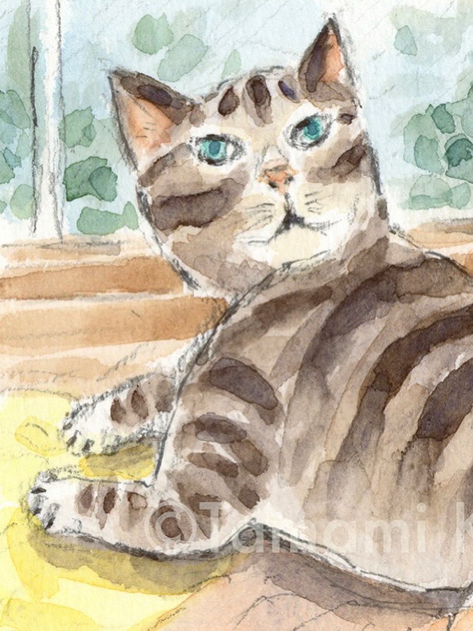 くまくら珠美さん　ポストカード原画 十七夜におりてきた天使たち ポストカードサイズ原画です | く