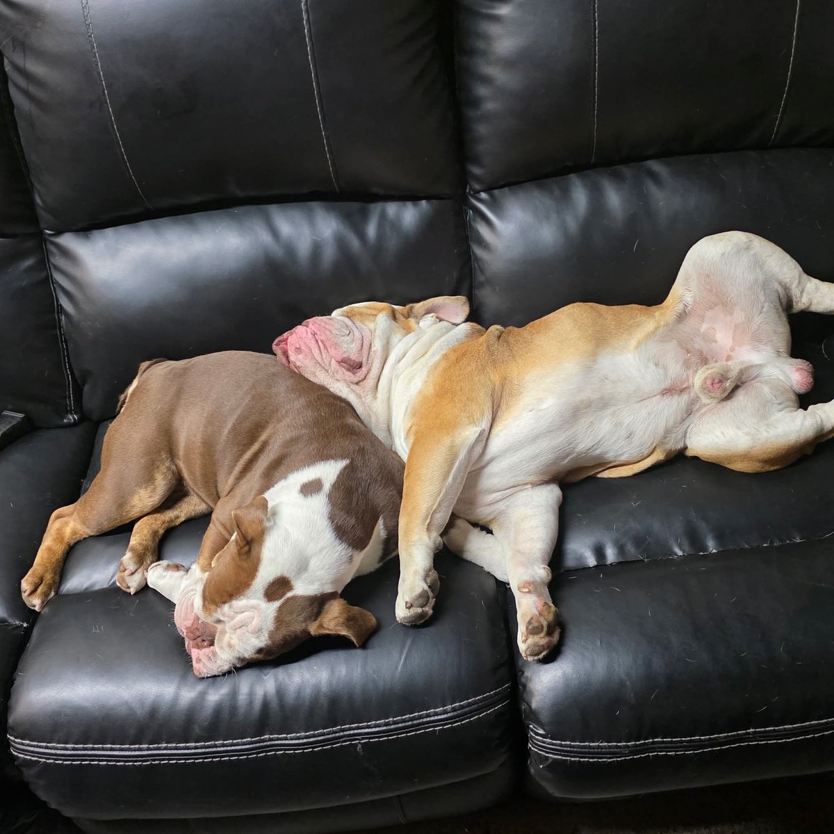 Раночку пані і панове. Сподіваюся у всіх 4.5.0. Тож хто прокинувся, вставайте, підтягуйте панчішки і  шикуйтеся в чергу за кавусьою, пригощаю. А потім пензлюємо до праці кожен у свій гадючник, русня сама не згине, а зелебобіки не прозріють!