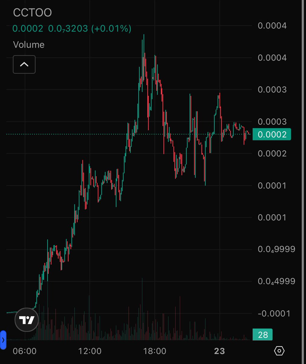 CCTOO is proof that there's an appetite for memecoins on sui