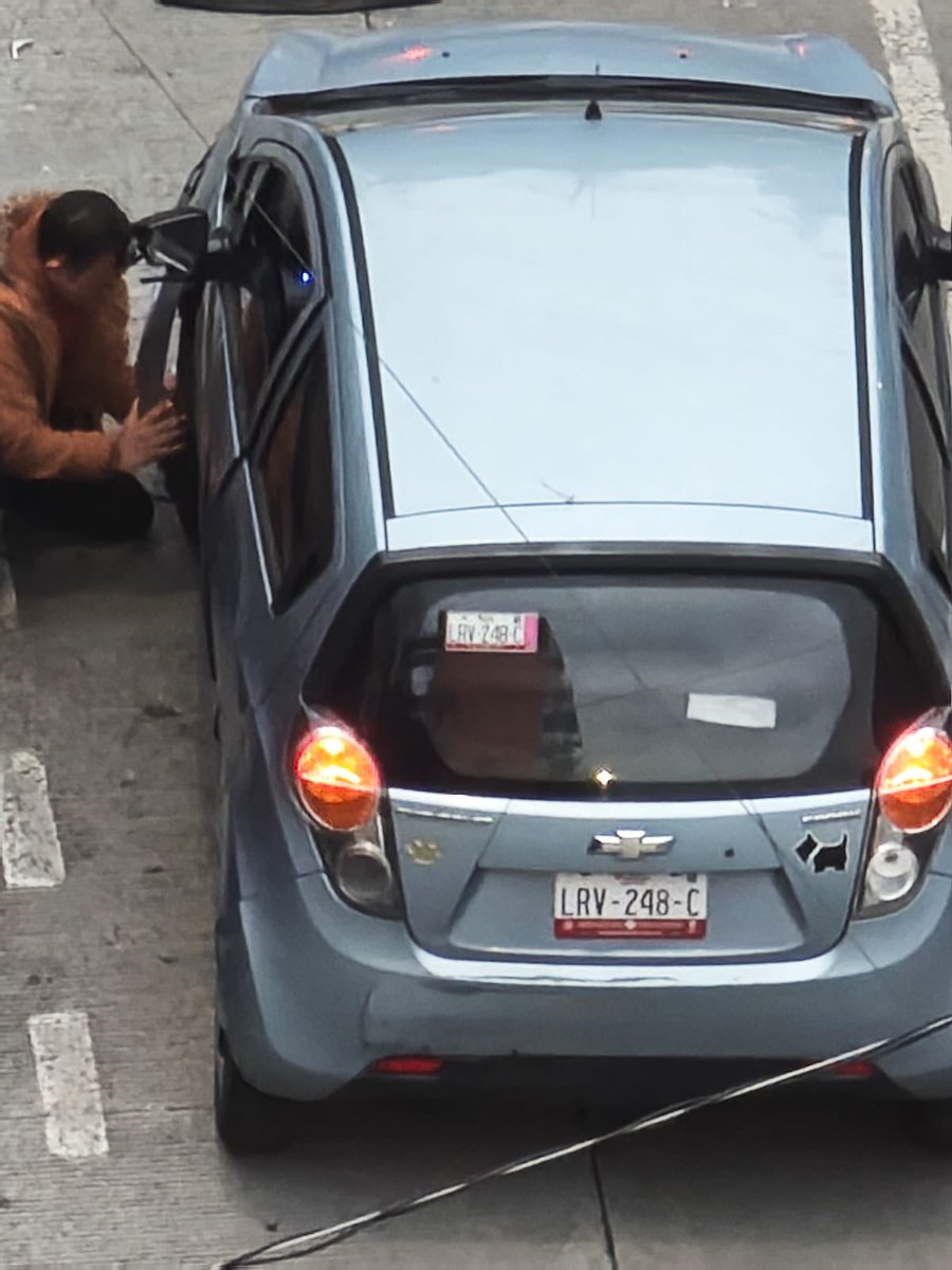 TANIA FÁBREGA tweet media