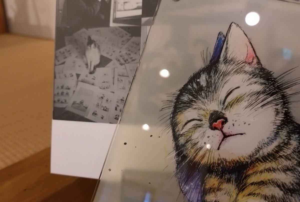 【特別企画展終了まで残り4日！】
本日も開館中です。特別企画展ではネコへの思いを紹介するコーナーがありますが、当時のトキワ荘にもネコがいたことがあったとか。特別企画展限定グッズのネコも、是非トキワ荘のまちへ連れて行ってくださいね。
※写真はトキワ荘通りお休み処になります
#山田貴敏展