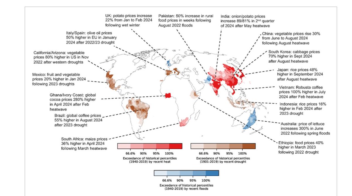 My new video, hot off the presses…

Climate Extremes, Global Food Price Spikes, and their Wider Knock-On (Cascading) Societal Risks
youtu.be/o5tcSUmnGuc?si…

#ClimateEmergency #Climatediplomacy #climate #food #Foodies #crops #agriculture #farming #weather #globalwarming