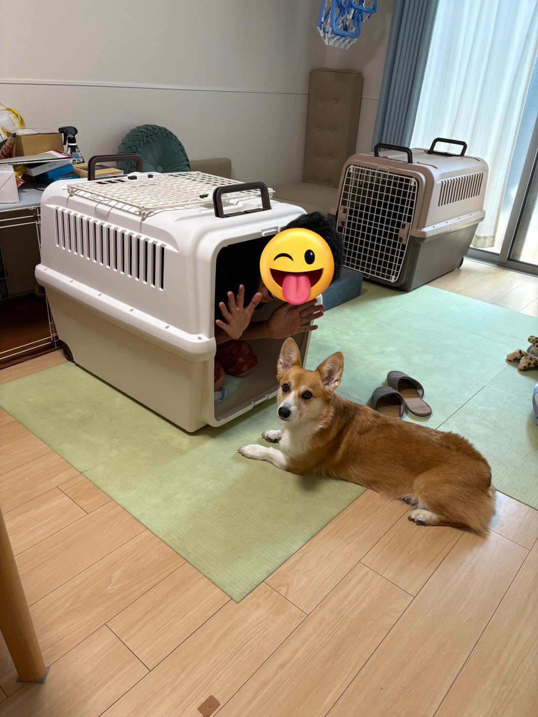 コスモスコーギー コーギー（Corgi） JUNIOR レーシングカー GRAND PRIX RACER