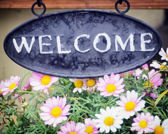 rubiesorpearls's tweet image. Hospitality is holy when it’s rooted in love and focused on others.
aboverubiesorpearls.com/backyard-hospi…
#HolyHospitality #OthersFirst #LiveTheGospel