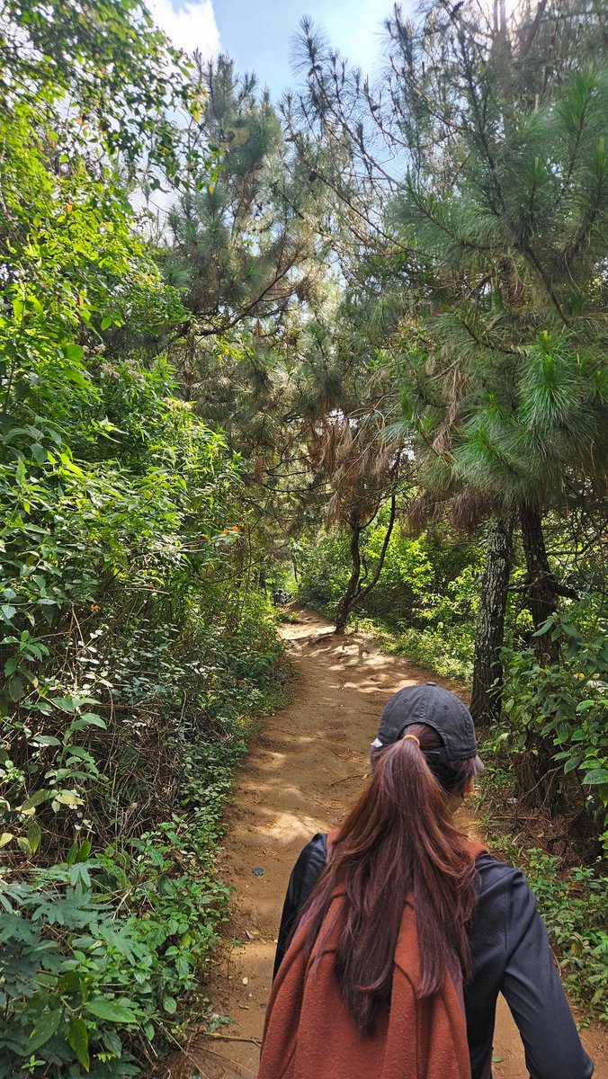 Mimin lagi naik gunung nih, ada yang tahu g ini gunung apa?