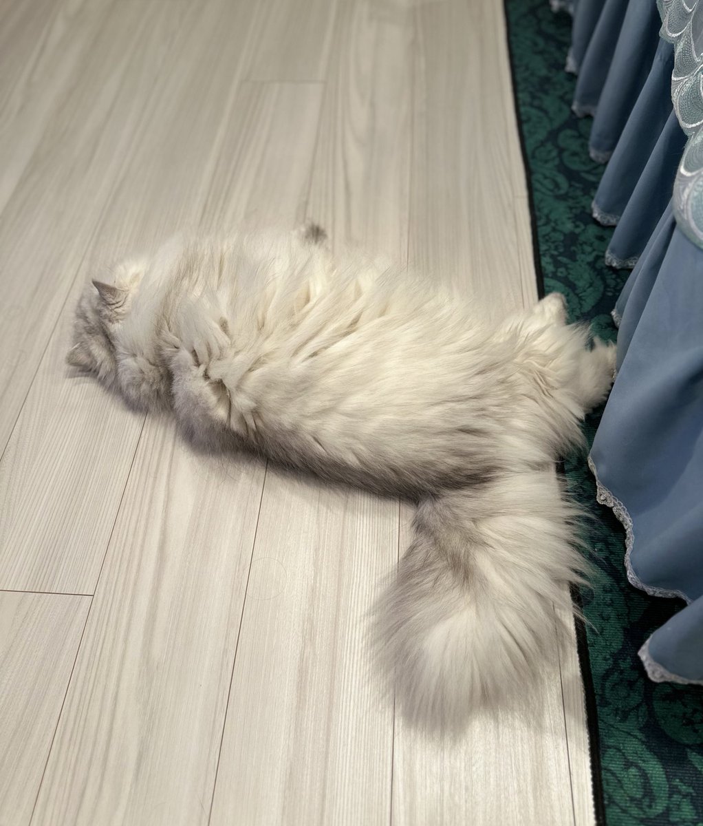fuwamopurimo's tweet image. 懐かしのモジモジくん😁

ふわもの【  フ  】 🐑