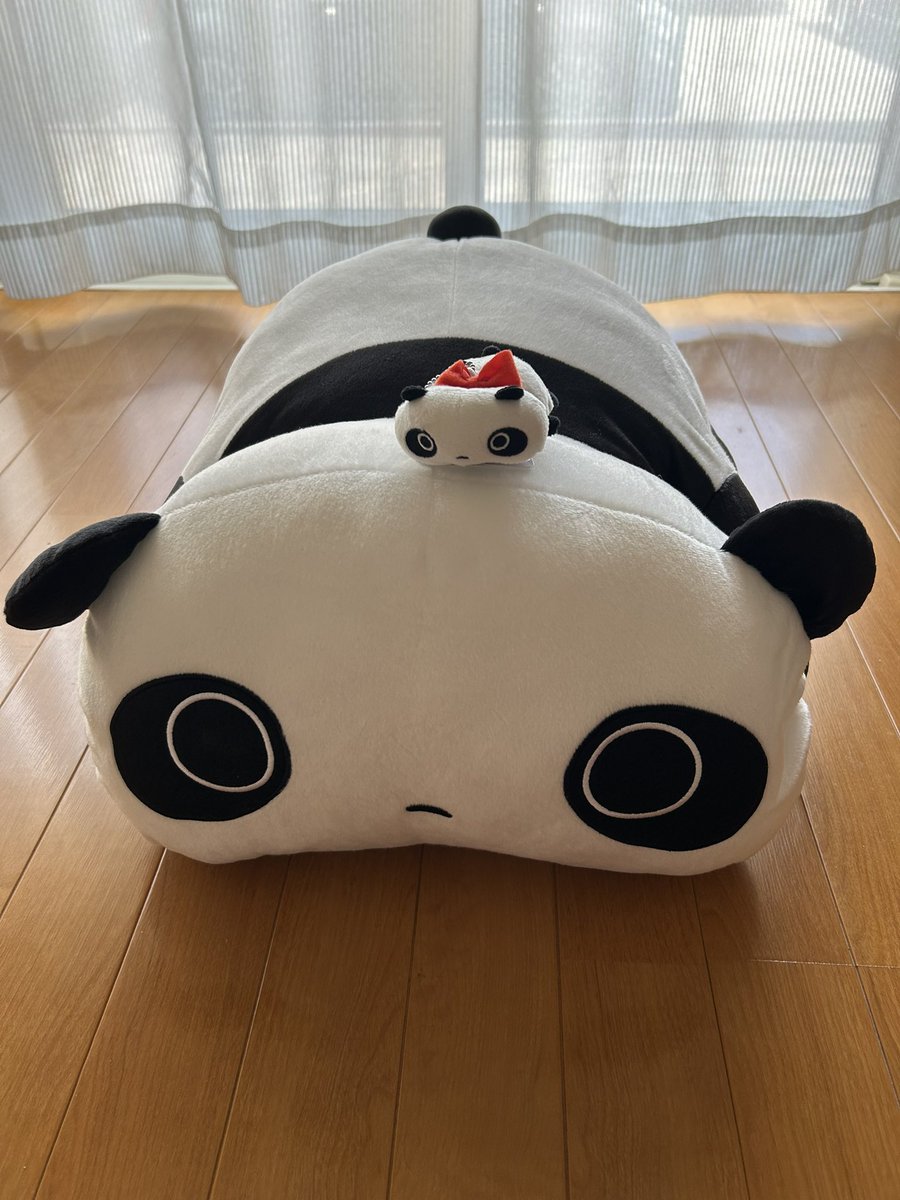 2025/07/23(水)たれぱんだ特大ぬいぐるみゲットしました👍。入荷店舗