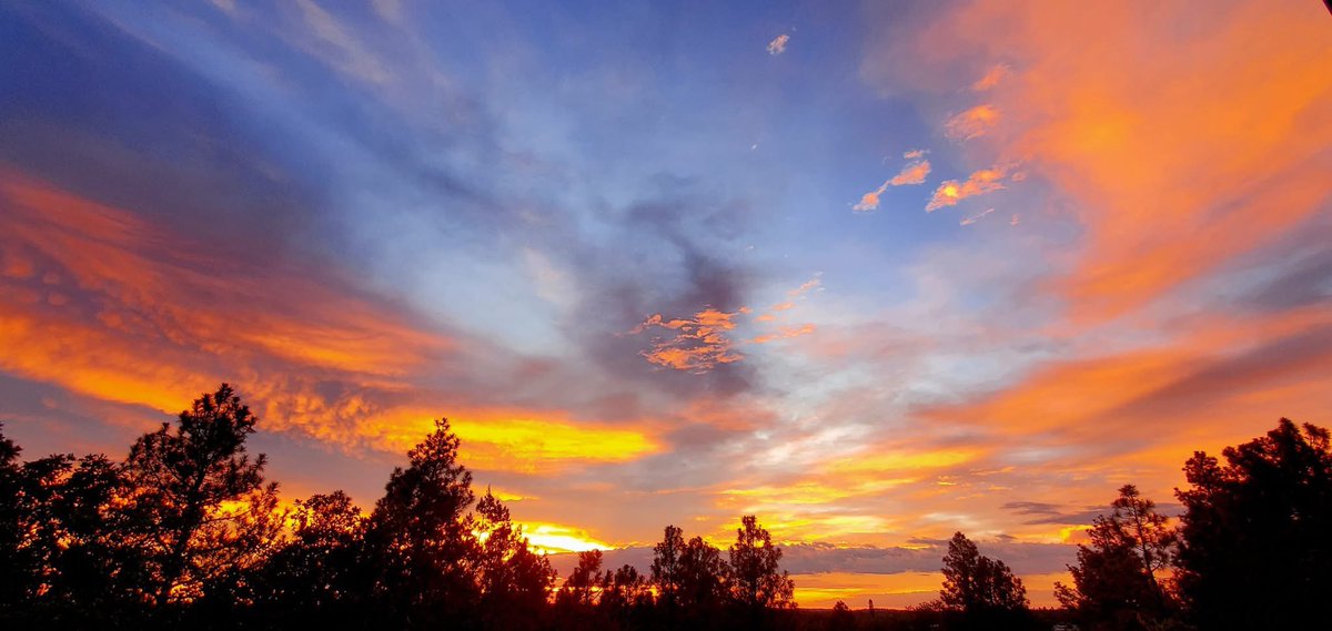MtnDailyStar's tweet image. Arizona sunsets are the best in @NavajoCountyAZ ❤️