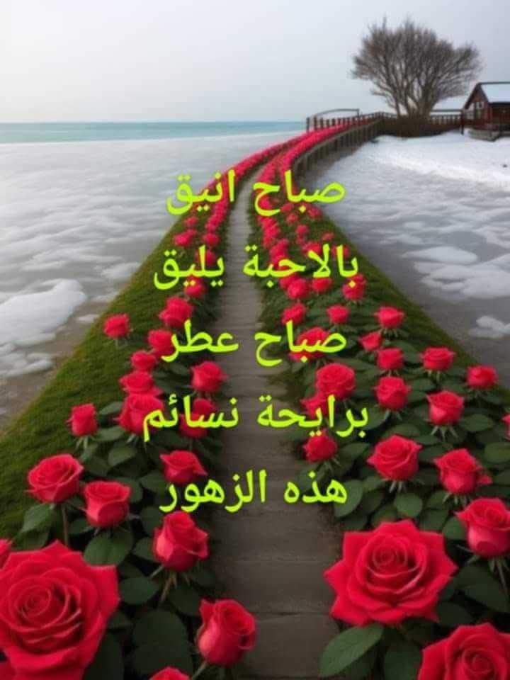 ٳلىٰ ٲولئك الغائبون الحاضرون
إلىٰ ٲصحاب الحضور الفاعل بين خفقات القلب
إلىٰ ٲصحاب البصمات
التي تشبه انتعاش الروح
طابَ يومڪُم وَڪُلّ يومٍ 
بـِدعوات قلبية ترافقڪُم بـِحبٍّ
صباح الياسمين
صباح يهمس للروح بلطف الأيام الجميلة
اللهم اجعل لنا في هذا الصباح فرحًا لا يخيب
صباحكم خير وسعادة