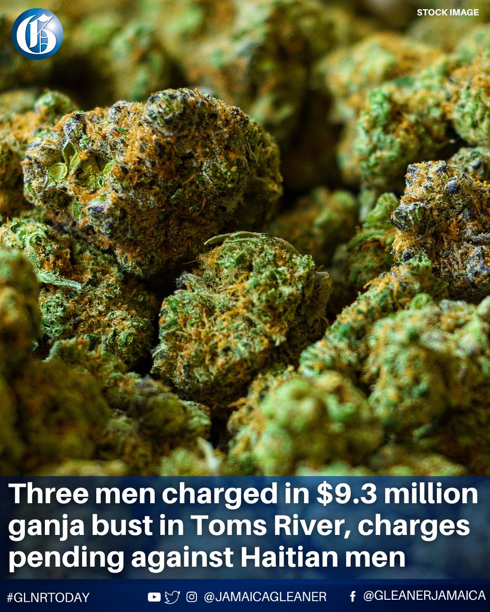 JamaicaGleaner's tweet image. The police are reporting that three men have been arrested and charged following the seizure of 3,000 pounds of ganja, valued at $9.3 million, in Toms River, located at the border of St Mary and St Andrew.
Read more: jamaica-gleaner.com/article/news/2… #GLNRToday
