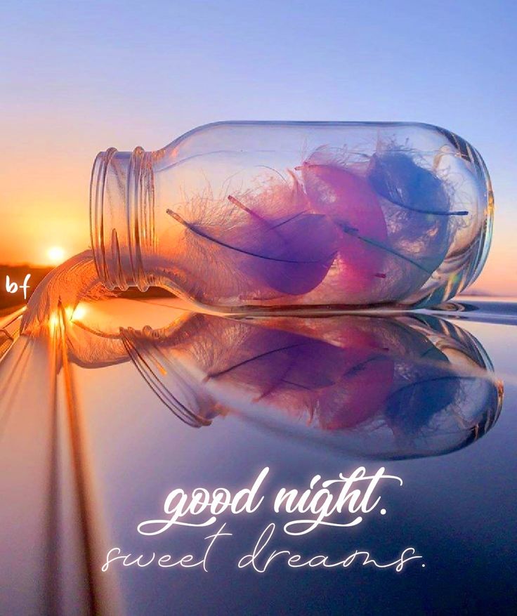 marewho12's tweet image. Goodnight my friends, it's time for me to call it a night. I need to get to bed and get some sleep, 5:00am comes early.😴💤🙏
I hope everyone has a wonderful night, stay vigilant and safe out there my friends.🇺🇸👊😎
See you in the morning over coffee!🤗☕️