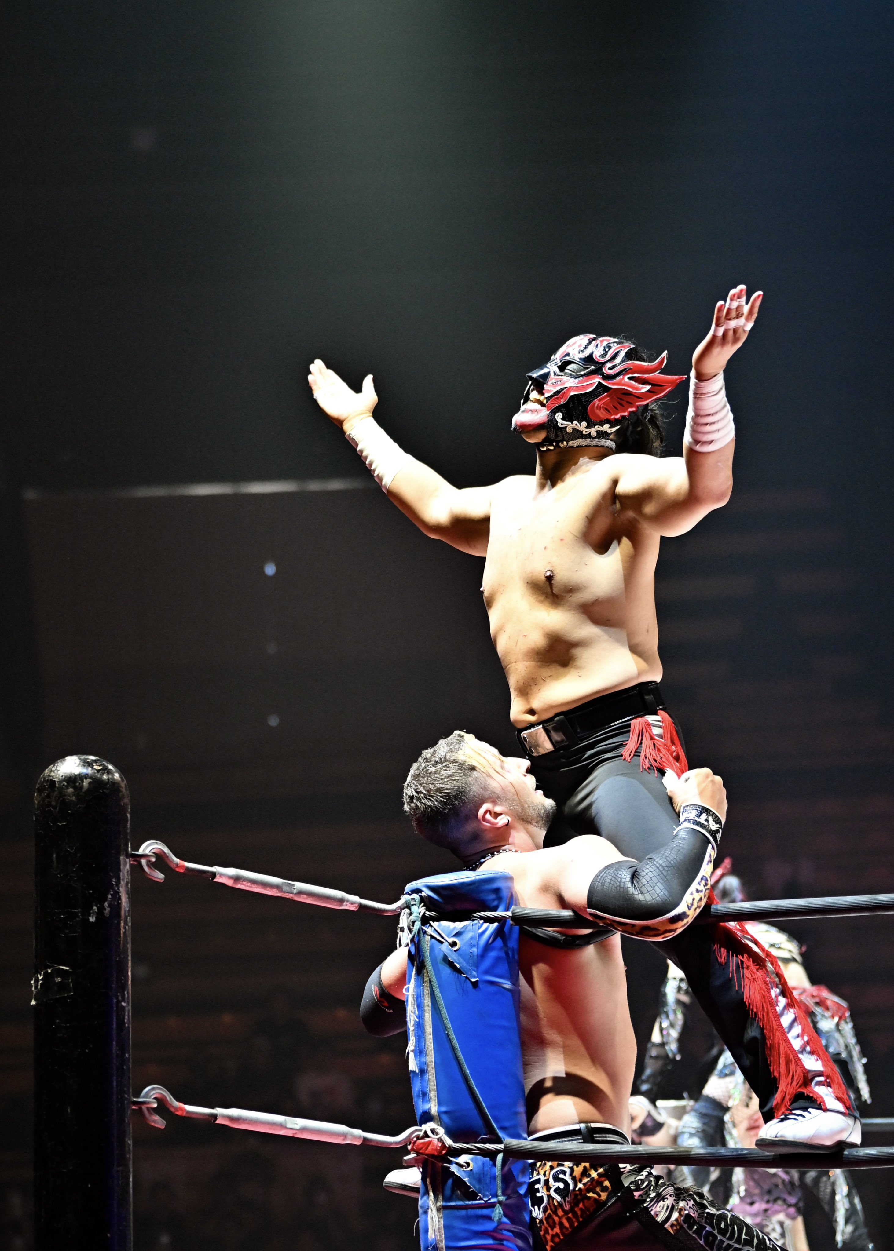エル・デスペラード　カバー 新日本プロレスリング株式会社 on X: 