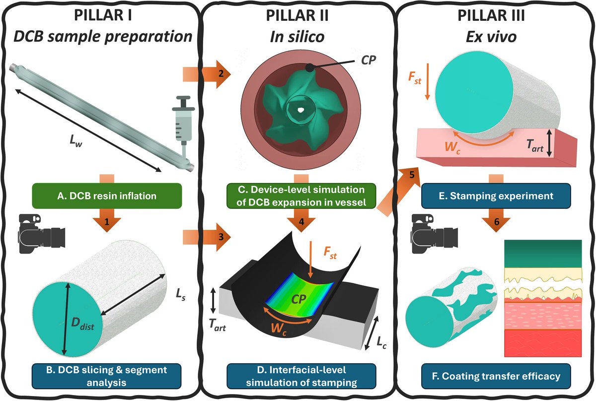 ABMEjournal's tweet image. Delivering medication precisely inside the body is one of modern medicine’s great engineering challenges, especially when it comes to treating vascular disease.
With this in mind, researchers developed a novel three-part framework combining benchtop stamping of biological…