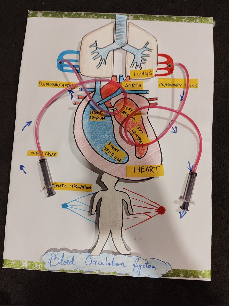 hushhhtheory's tweet image. Science deflects the truth, art reflects it.

#art 
#science 
#circulatorysystem